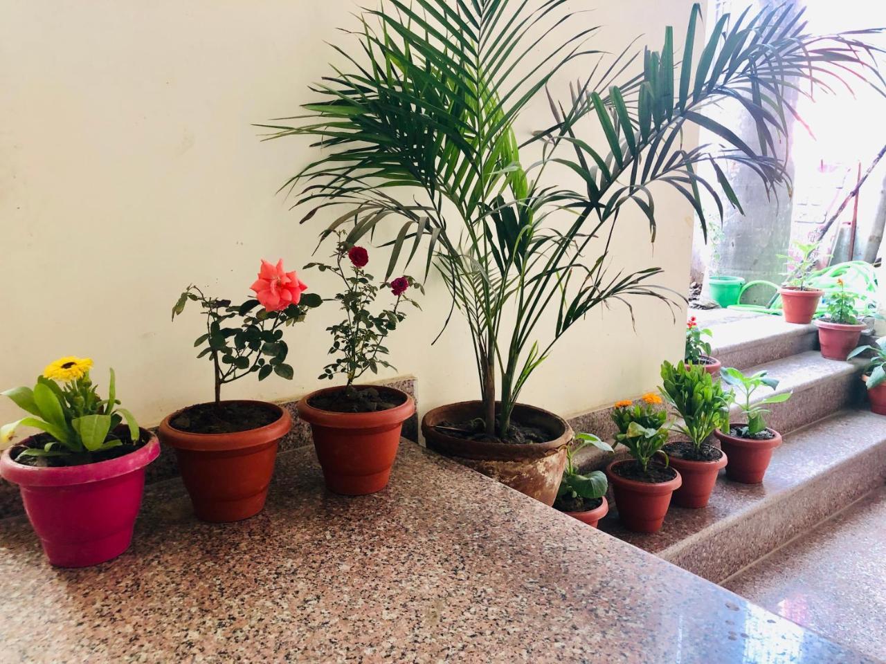 Gangotri Paying Guest House 瓦拉纳西 外观 照片